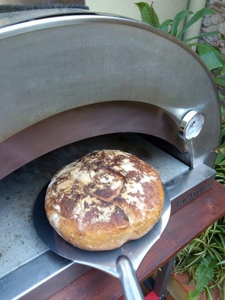 Horno de Gas para Pizzas y Asados