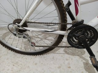 Bicicleta Montaña
