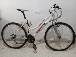 Bicicleta Montaña