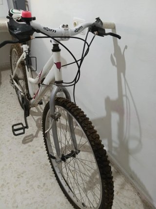 Bicicleta Montaña