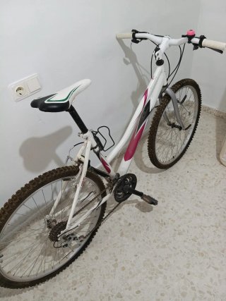 Bicicleta Montaña