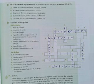 Reflejo 1. Lengua castellana y Literatura 1 ESO