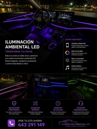 ILUMINACION AMBIENTAL LED PROFESIONAL PARA COCHE