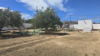 PARCELA SEGREGADA CON REFUGIO, AGUA Y LUZ