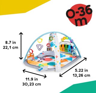 Baby Einstein Gimansio de Actividades 4 en 1