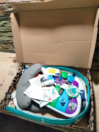 Baby Einstein Gimansio de Actividades 4 en 1