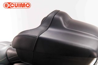 INDIAN CHIEFTAIN