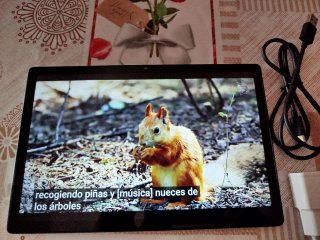 Samsung Galaxy Tab A8 10.5 3/4GB+32GB como nueva
