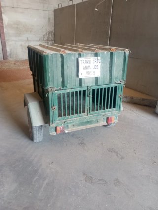 Se vende Remolque verde para perros
