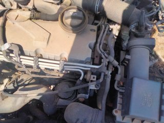 Motor Audi A3 1.9TDI (8P)105 CV