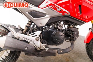 HONDA MSX 125
