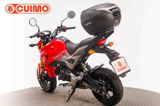 HONDA MSX 125