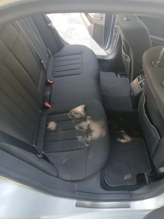 Mercedes-Benz Clase E 2009