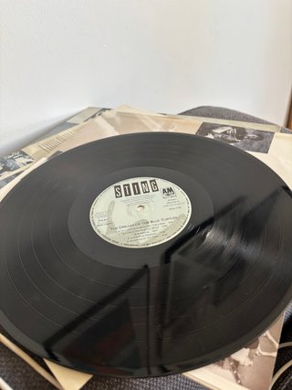 Sting - The Dream Of The Blue Turtles Vinilo