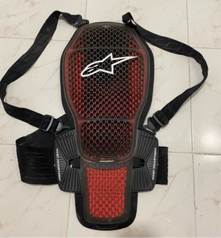 Mono Alpinestars + Botas + Espaldera