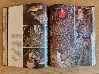 Colección completa FAUNA de Félix Rodríguez