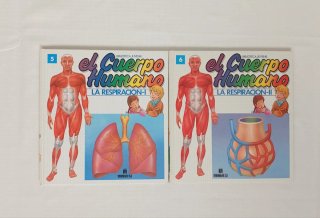 El Cuerpo humano
