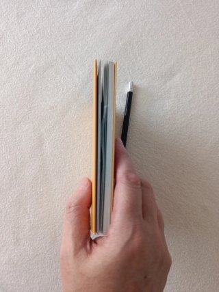 El pequeño libro de la resiliencia