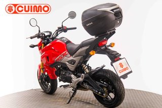 HONDA MSX 125