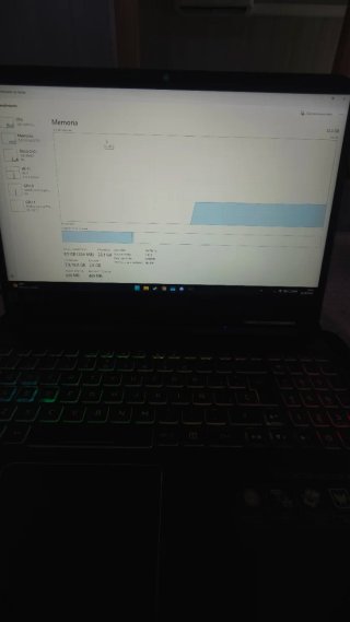 Portátil Acer Predator Helios 300 PH315-53