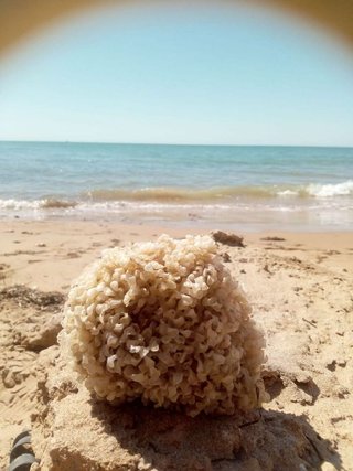 Terreno en venta en Centro - Zona Playas en Chipiona