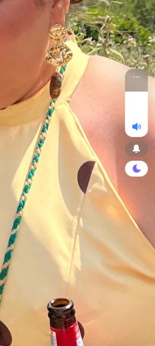 Pendientes dorados con piedras marrones