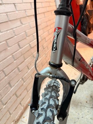 Bicicleta de Montaña Topbike Roja y Plateada