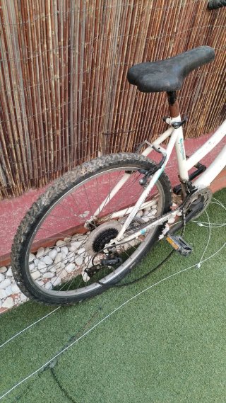 Bicicleta Boomerang