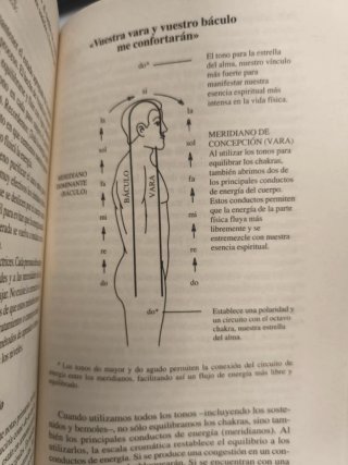 La curación por la música