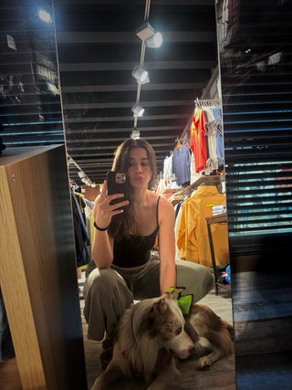 Paseos y cuidado de perros