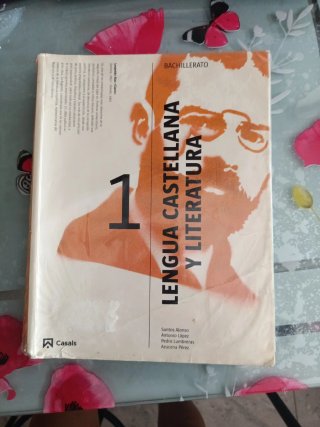 Lengua castellana y Literatura 1 Bachillerato
