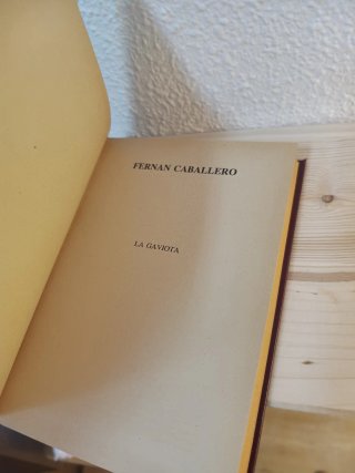 La gaviota, de Ferran Caballero