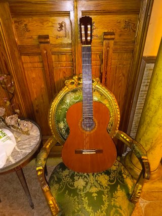 Guitarra de concierto