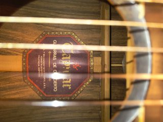 Guitarra de concierto