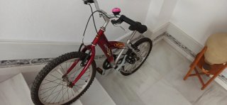 Bicicleta infantil SNVER