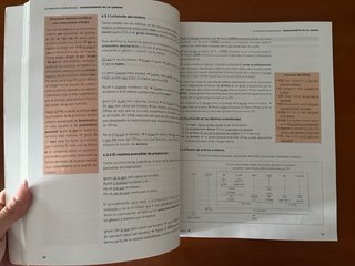 Lengua castellana y literatura 2, BA Código abi...
