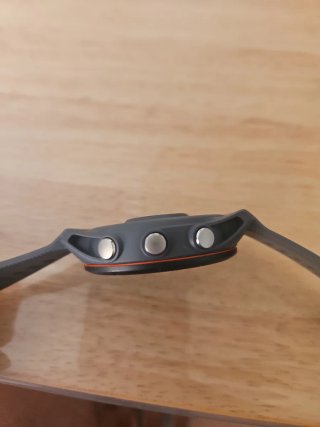 Garmin Forerunner 255 Gris
