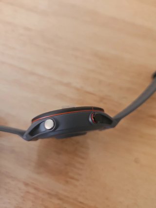 Garmin Forerunner 255 Gris