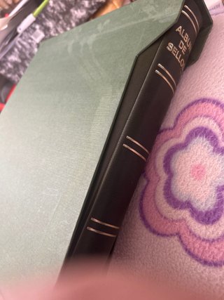 Álbum de sellos Edifil con hojas y filoestuches