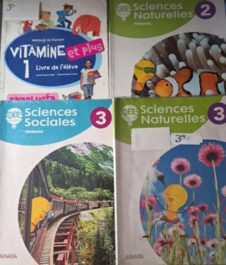 4 LIBROS DE FRANCES 2 Y 3 PRIMARIA.