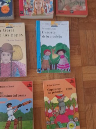 Lote libros Barco Vapor