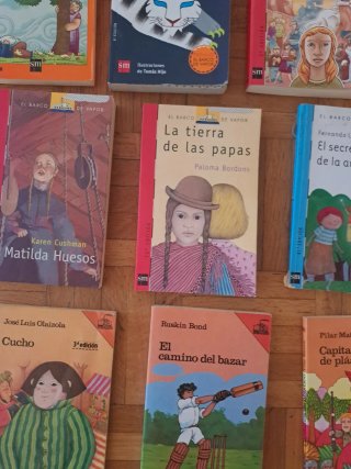 Lote libros Barco Vapor