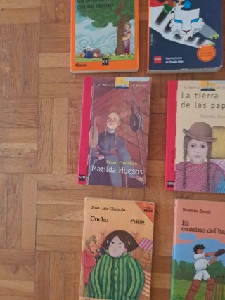 Lote libros Barco Vapor