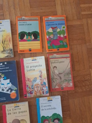 Lote libros Barco Vapor