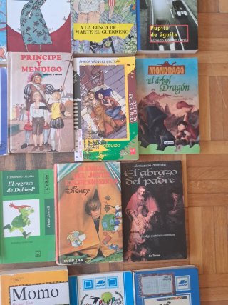 Lote libros infantil juvenil