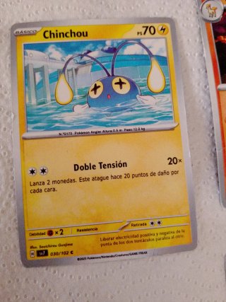 Lote Cartas Pokémon