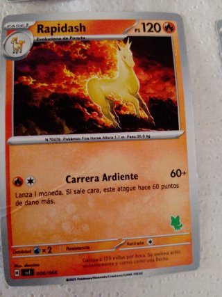 Lote Cartas Pokémon