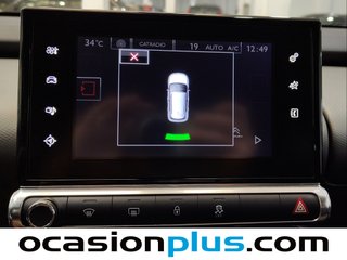 Citroen C4 Cactus BlueHDi 100 Shine ETG6 73 kW (100 CV)