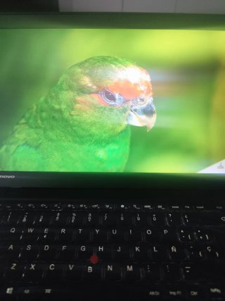 Lenovo Thinkpad T450S Portátil