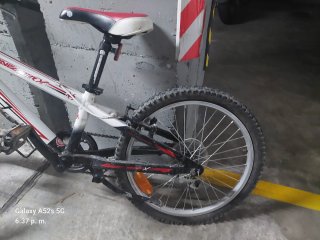 Bicicleta infantil niña niño